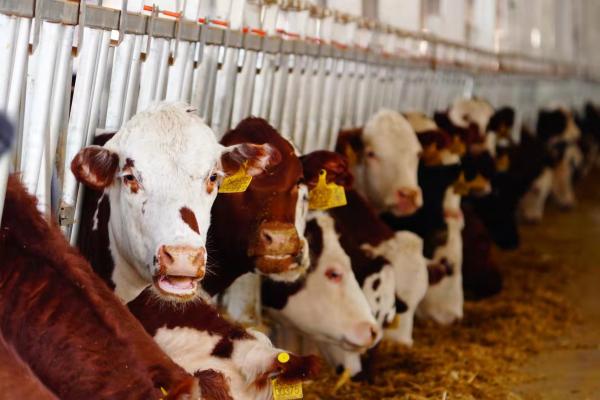 1641775896988041.jpg WeChat Image_20220110085127.jpg