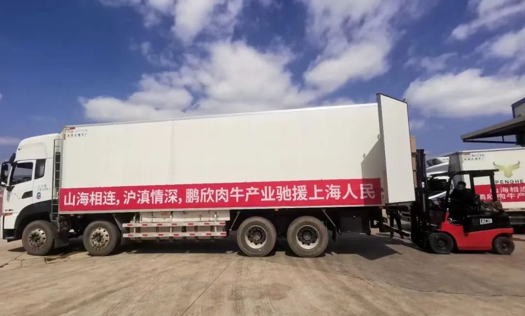 1664156561400174.jpg 2.jpg