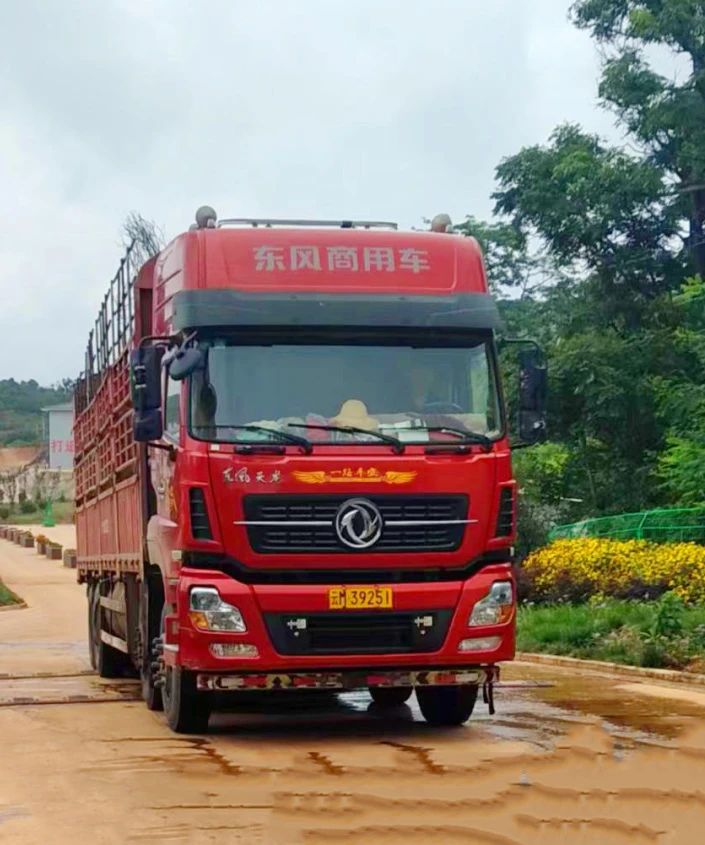 1698029011165410.jpg 1698029011165410.jpg